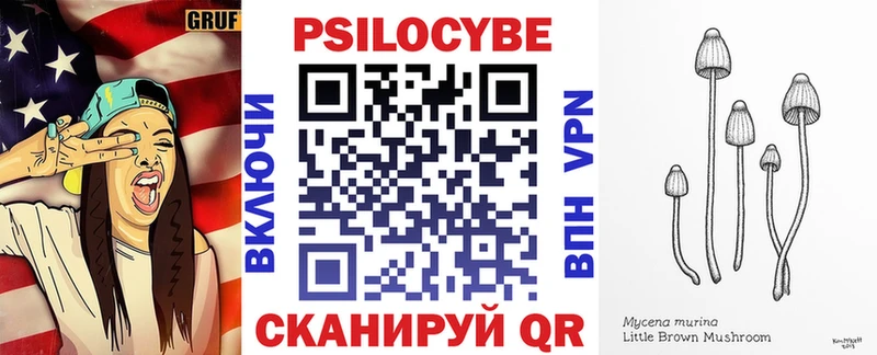 как найти наркотики Мончегорск Псилоцибиновые грибы Psilocybine cubensis