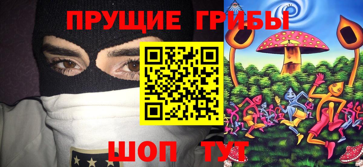 Галлюциногенные грибы ЛСД Мончегорск
