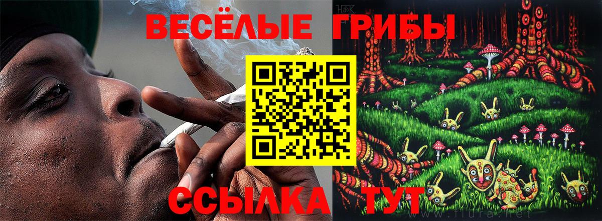 Мончегорск  Галлюциногенные грибы Cubensis  Вход с VPN 